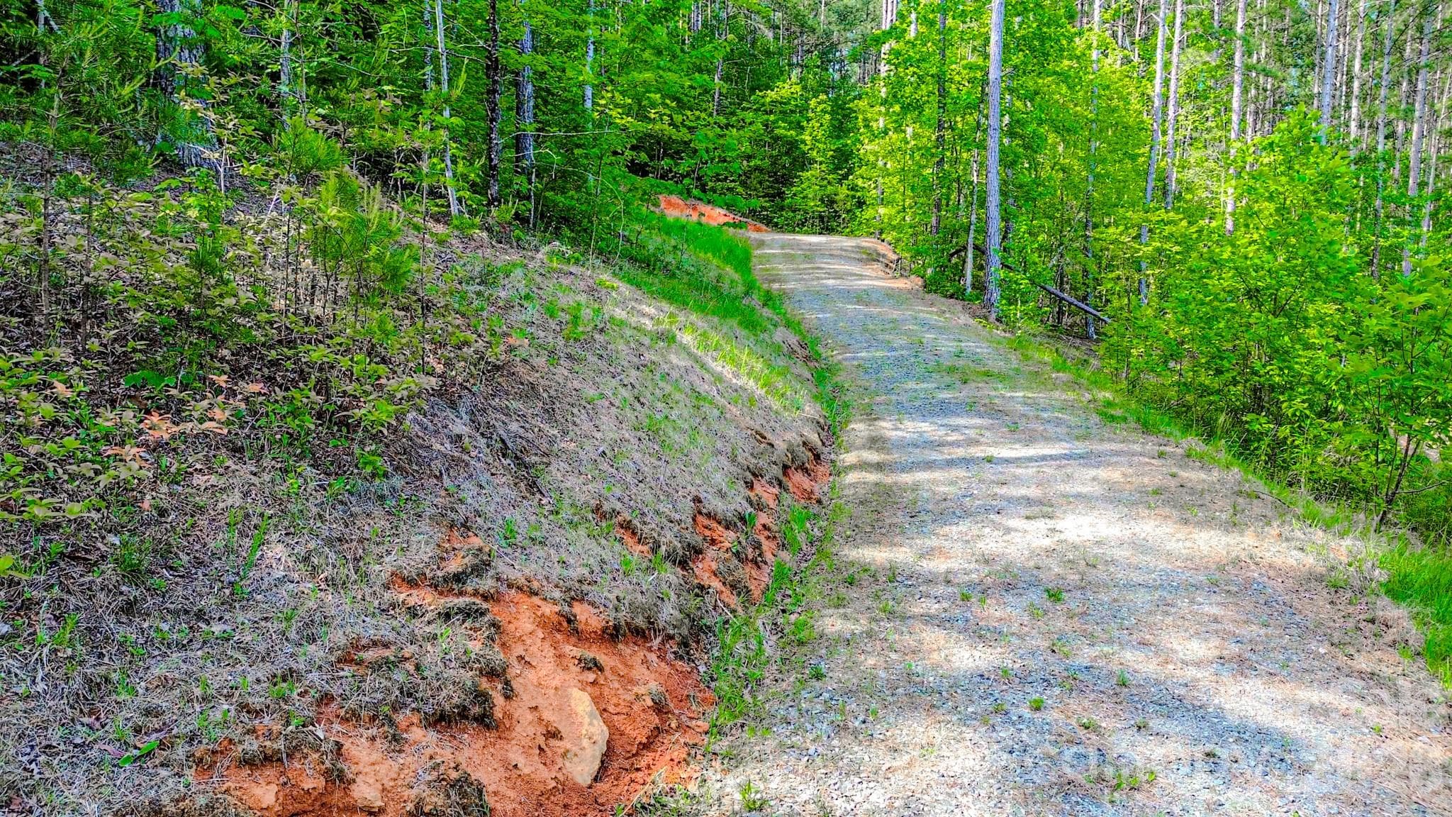 Lot at 146 S Branch Drive, Bostic, photo 11 of 30