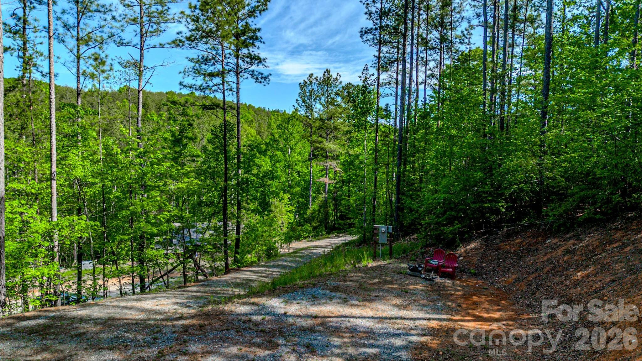 Lot at 146 S Branch Drive, Bostic, photo 14 of 30
