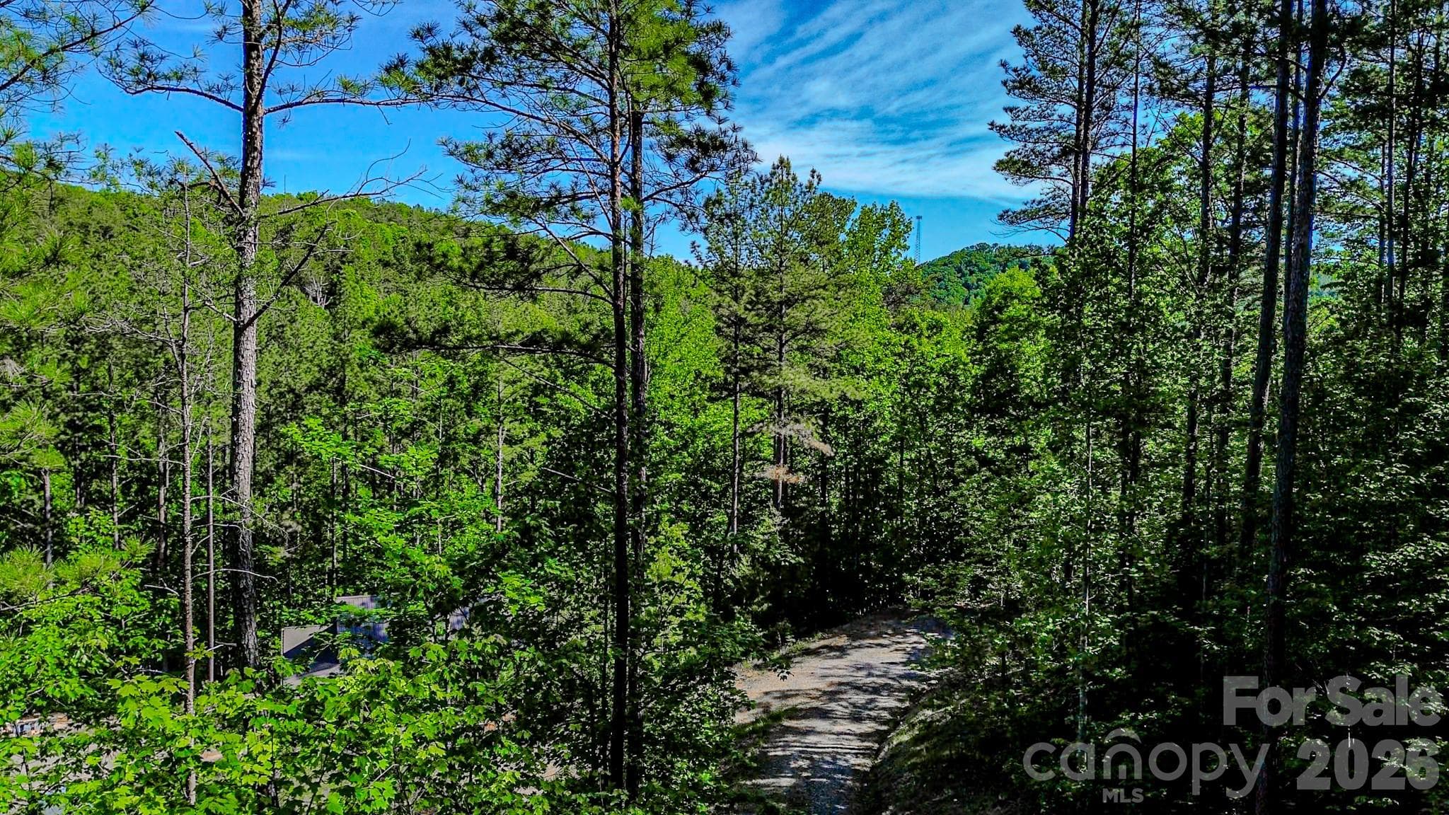 Lot at 146 S Branch Drive, Bostic, photo 17 of 30