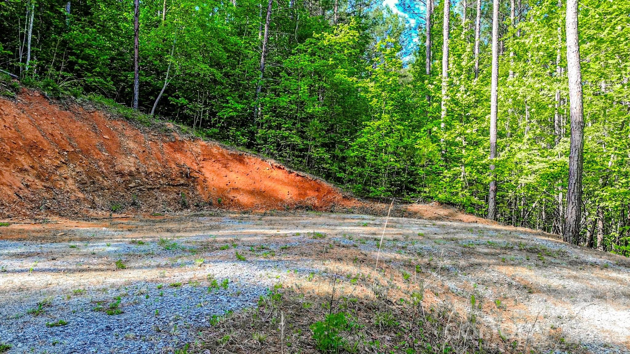 Lot at 146 S Branch Drive, Bostic, photo 26 of 30