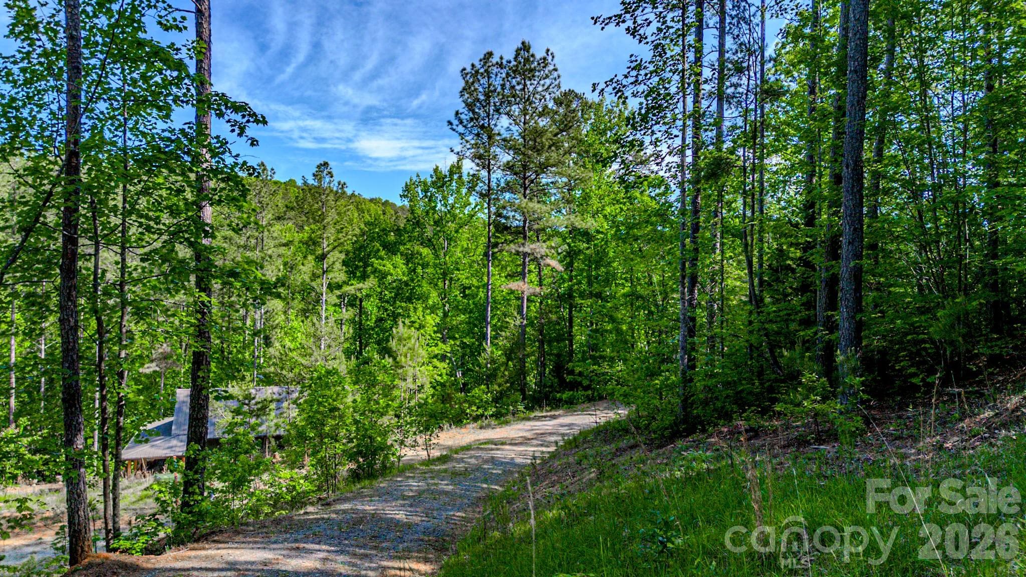 Lot at 146 S Branch Drive, Bostic, photo 28 of 30
