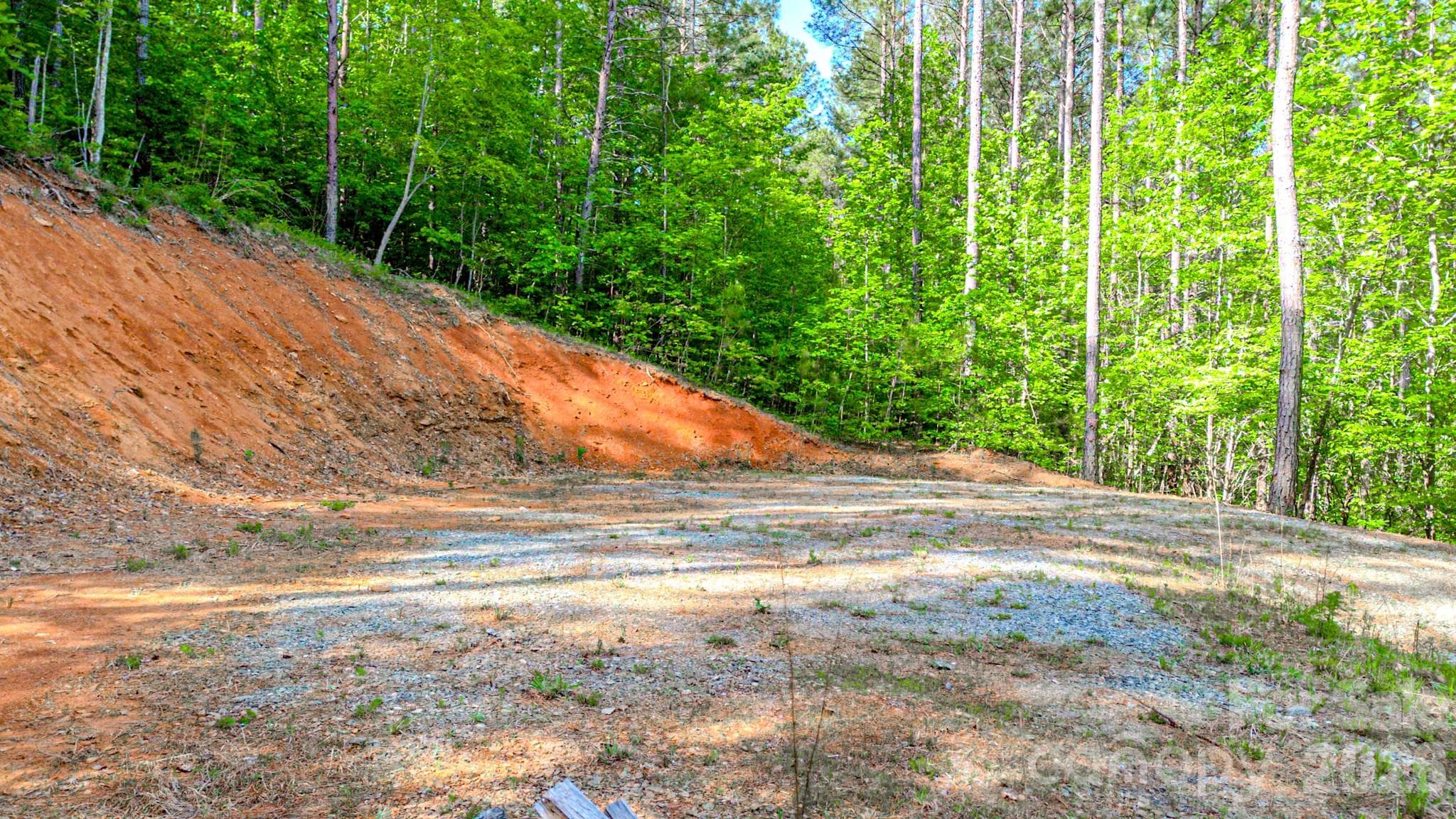 Lot at 146 S Branch Drive, Bostic, photo 29 of 30