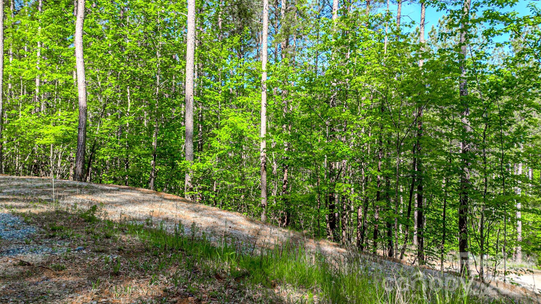 Lot at 146 S Branch Drive, Bostic, photo 30 of 30