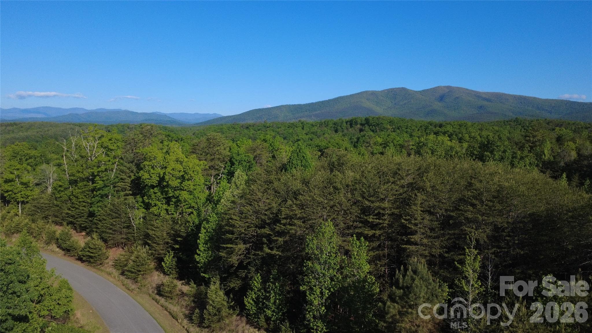 Lot at 431 Ridge Point Road, Nebo, photo 9 of 20