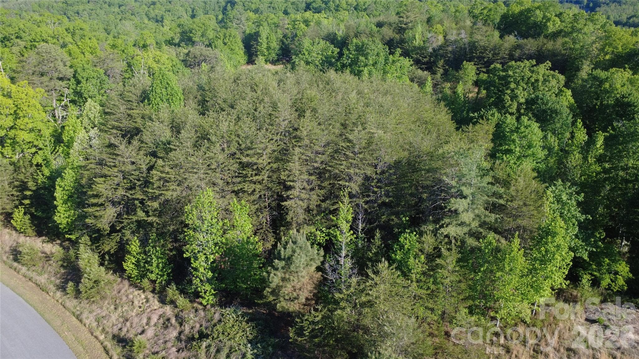 Lot at 431 Ridge Point Road, Nebo, photo 10 of 20