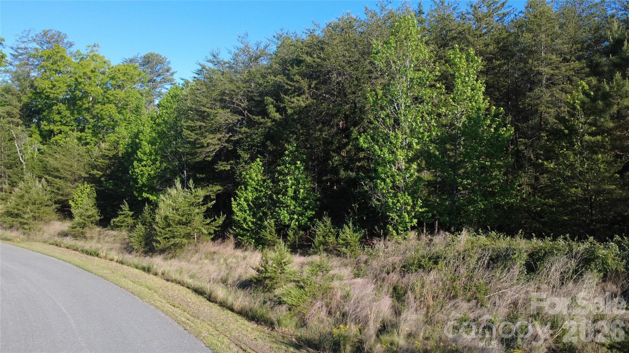 Lot at 431 Ridge Point Road, Nebo, photo 18 of 20