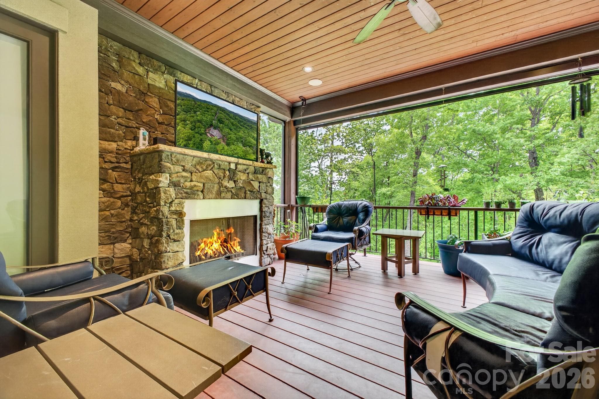Single Family Residence at 671 Mills River Way, Horse Shoe, photo 4 of 48