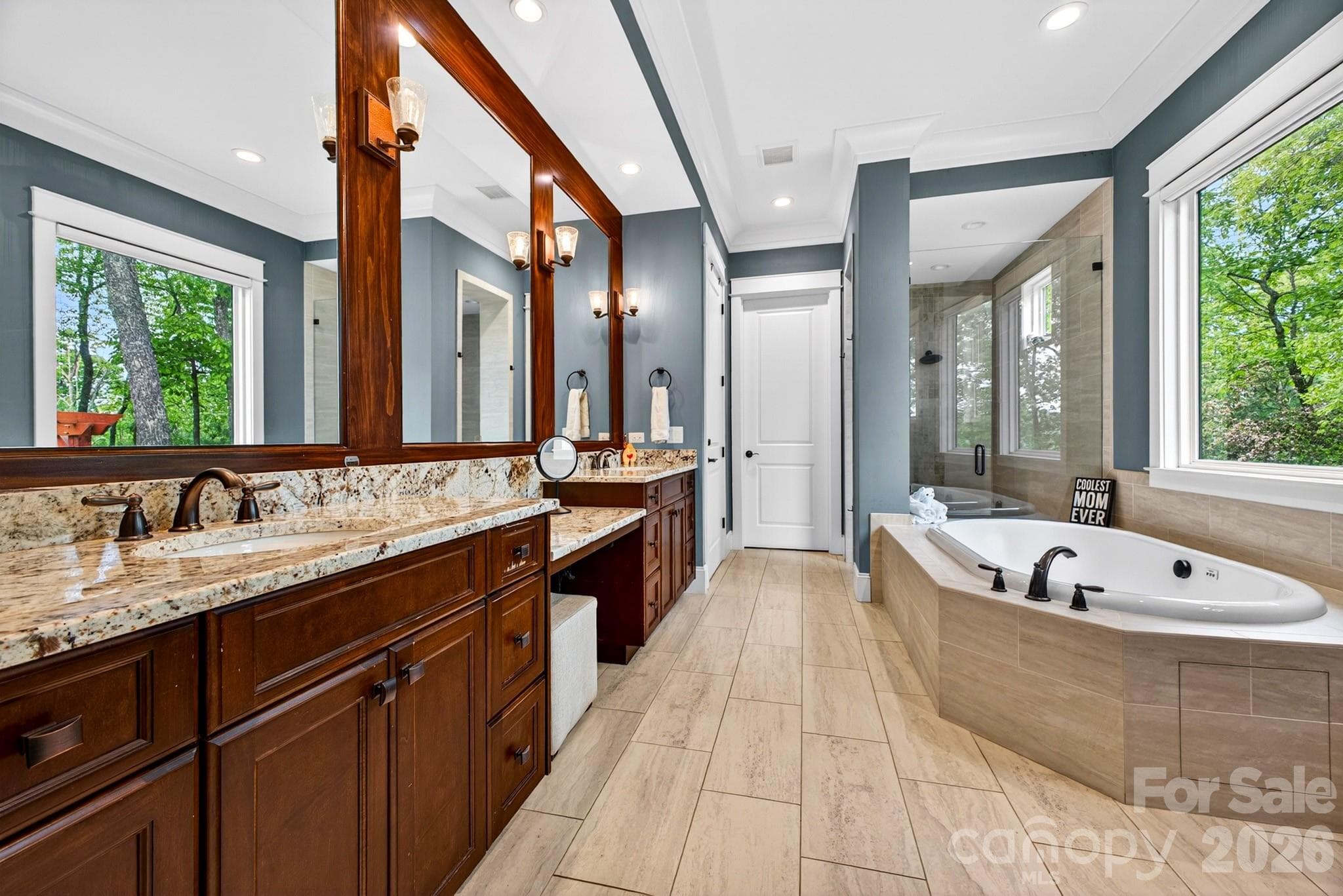 Single Family Residence at 671 Mills River Way, Horse Shoe, photo 32 of 48