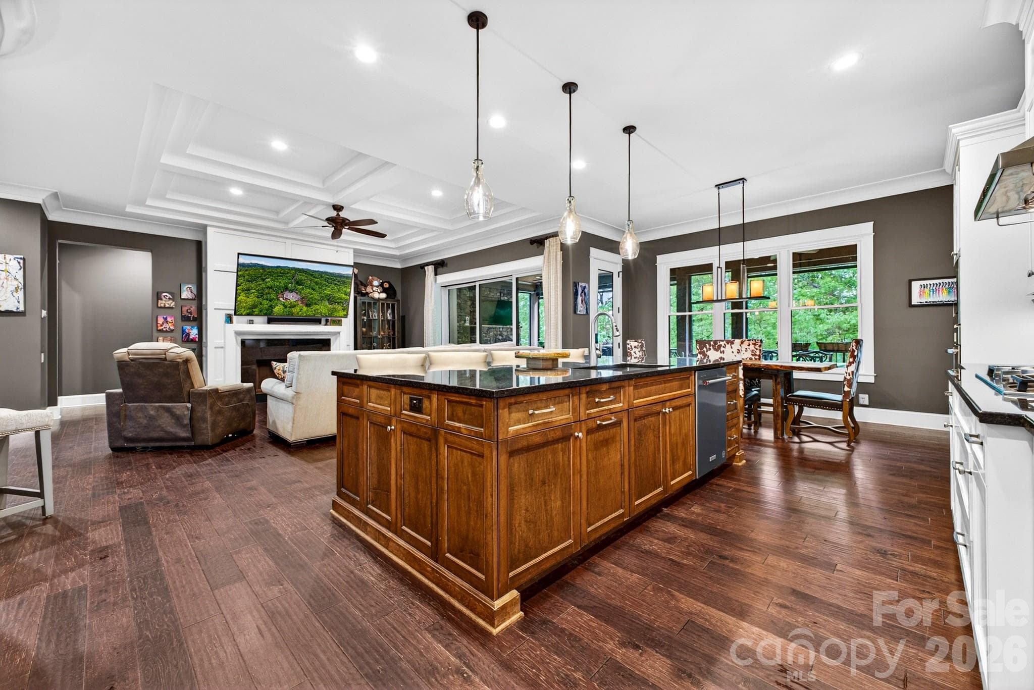 Single Family Residence at 671 Mills River Way, Horse Shoe, photo 19 of 48