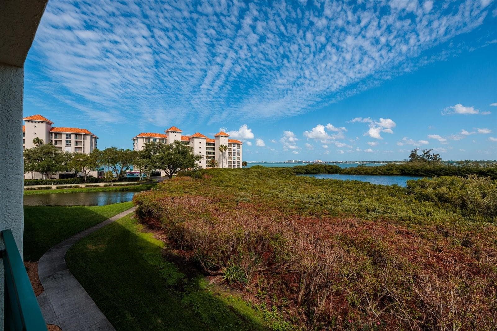 Marsh with Boca Ciega Bay beyond - 4801 OSPREY DR S #207, ST PETERSBURG