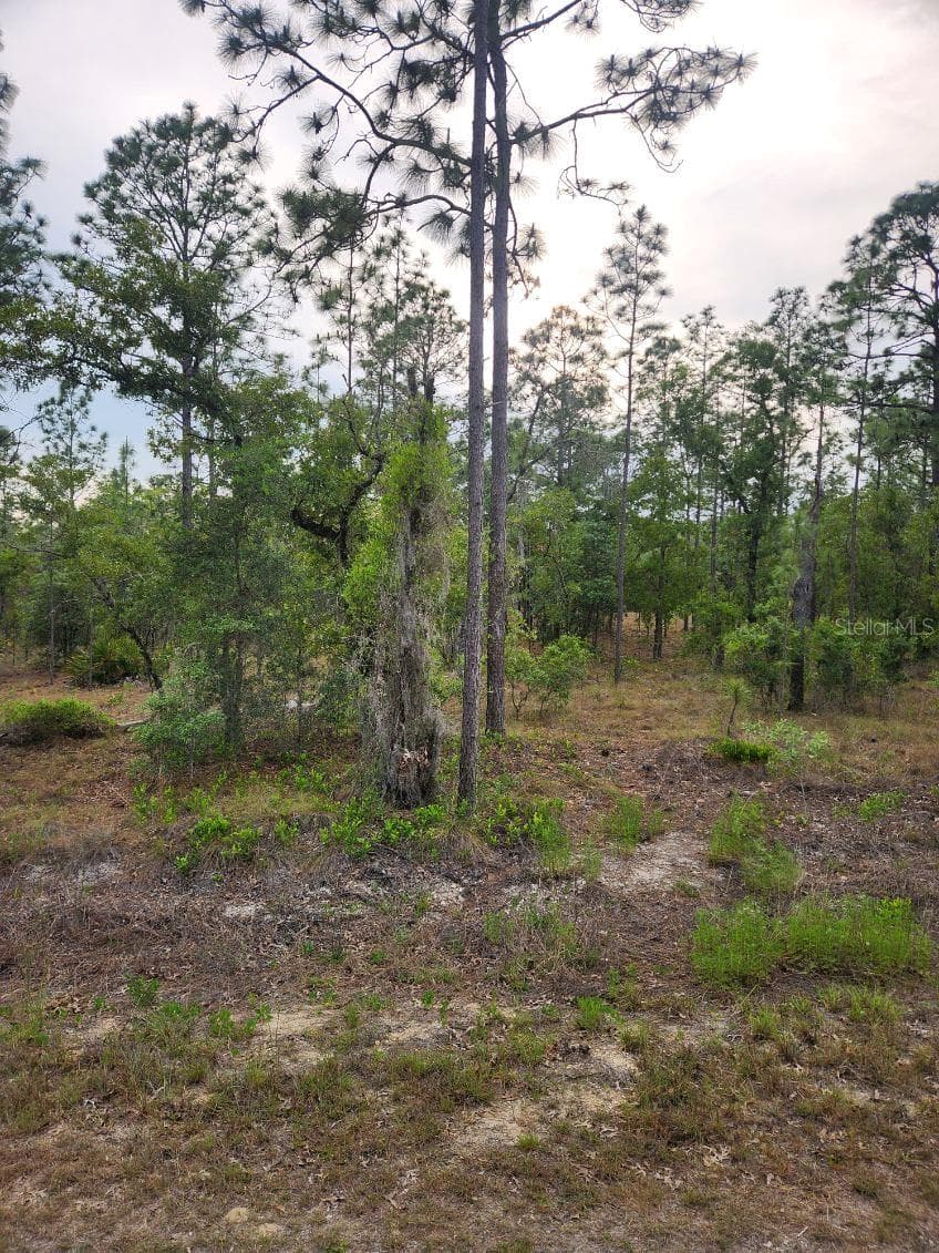 Land at 00 SE 130TH CT, DUNNELLON, photo 18 of 18