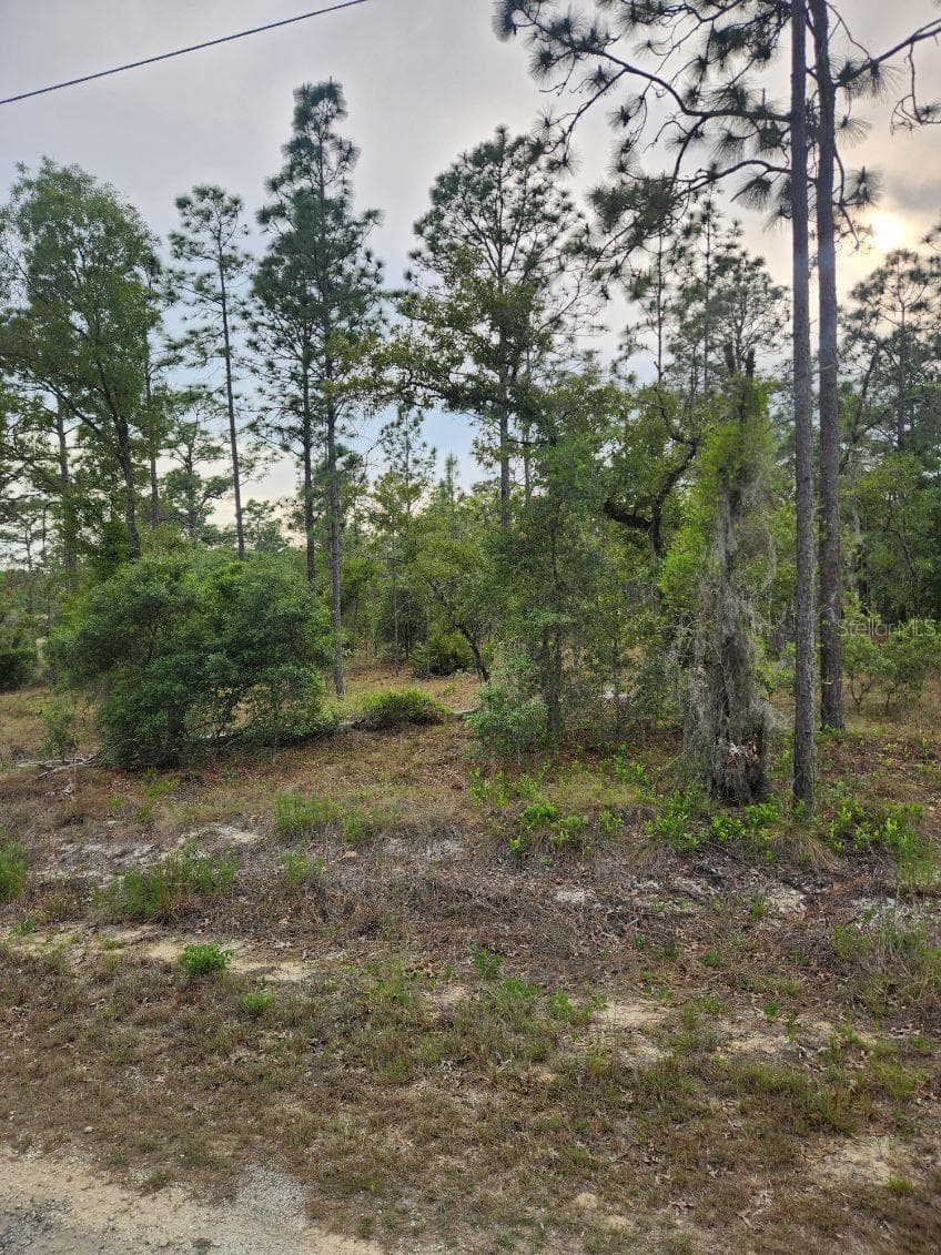 Land at 00 SE 130TH CT, DUNNELLON, photo 17 of 18