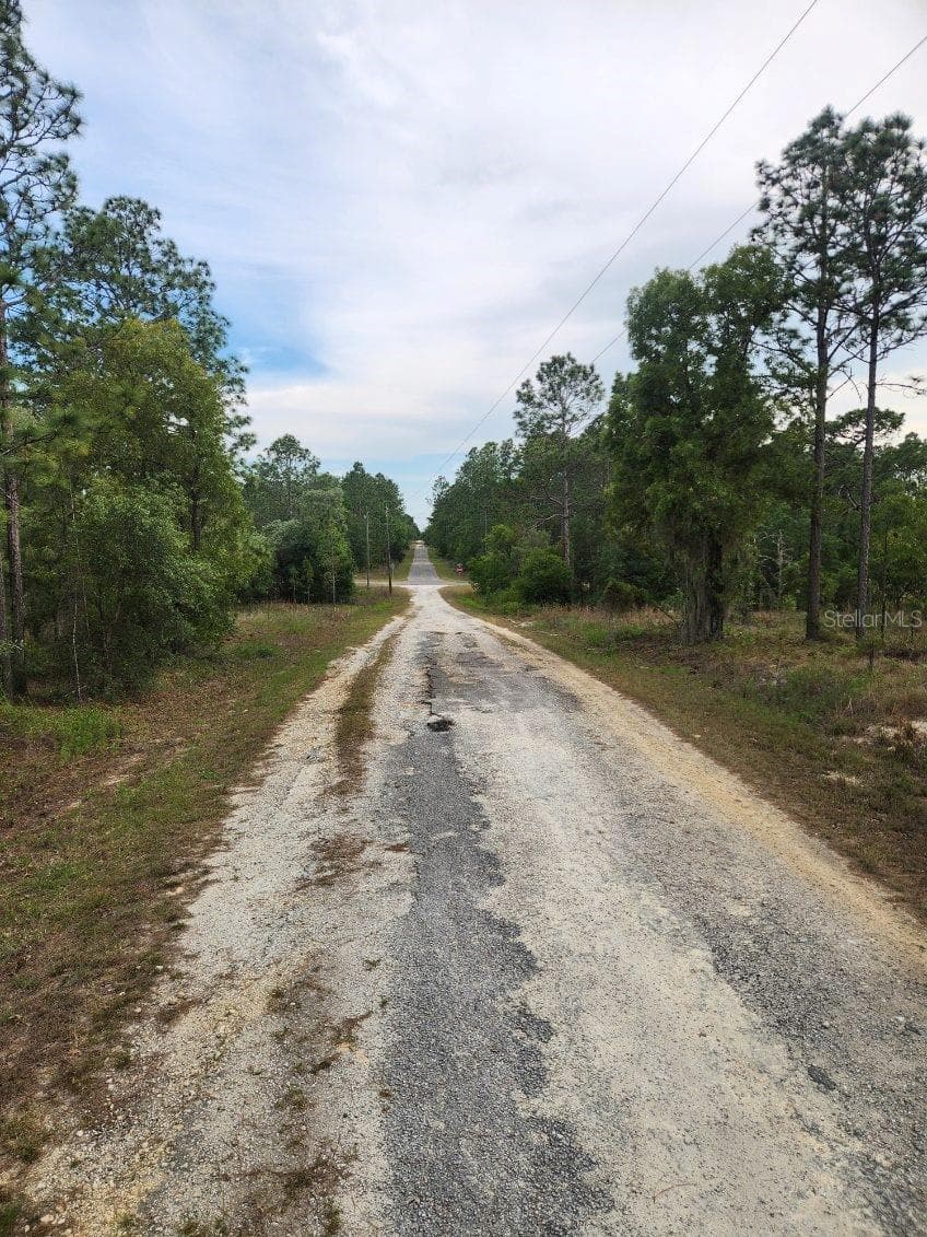 Close to paved main road - 00 SE 130TH CT, DUNNELLON