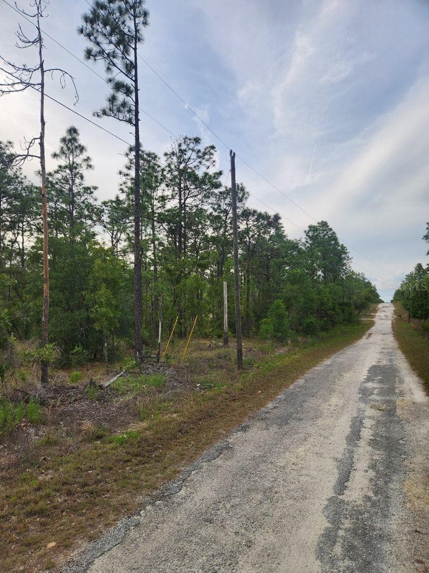 One neighbor on this street - 00 SE 130TH CT, DUNNELLON