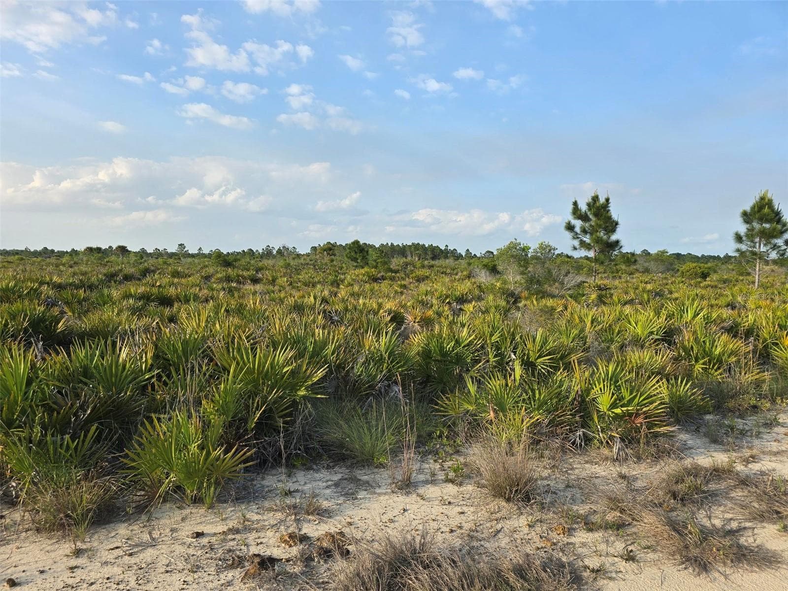 Land at 49173 BERMONT RD, PUNTA GORDA, photo 2 of 6