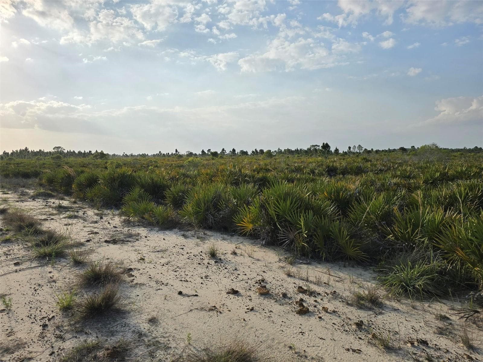 Land at 49173 BERMONT RD, PUNTA GORDA, photo 3 of 6