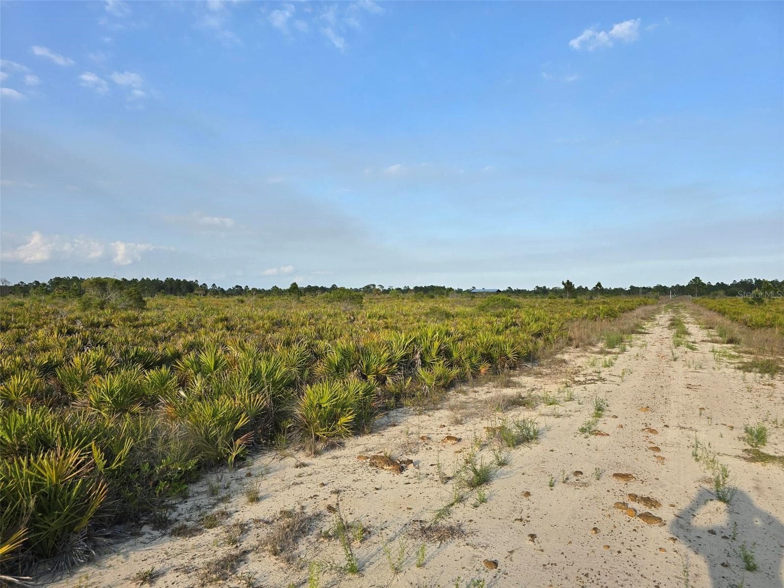 Land at 49173 BERMONT RD, PUNTA GORDA, photo 5 of 6