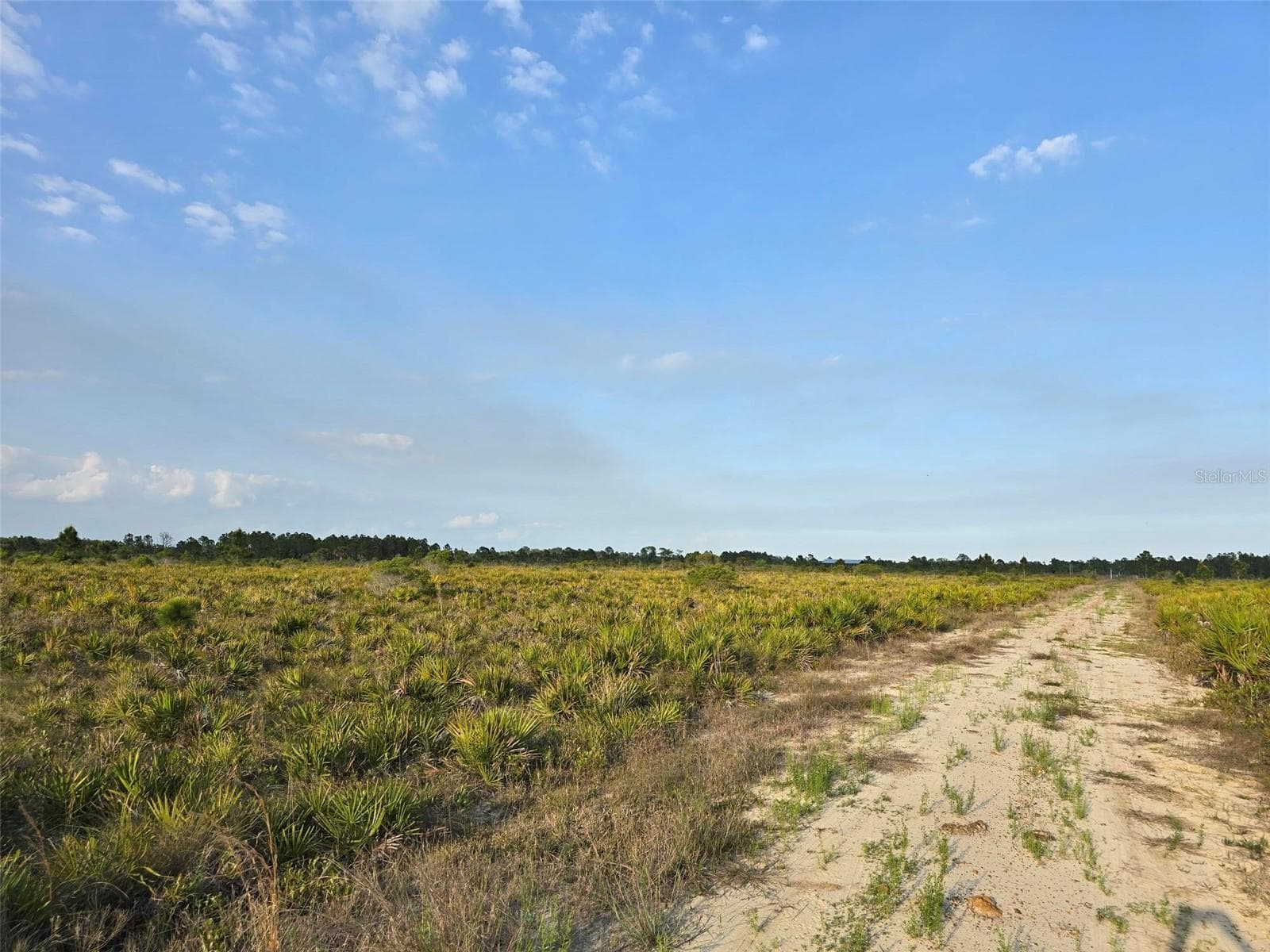 Land at 49173 BERMONT RD, PUNTA GORDA, photo 6 of 6