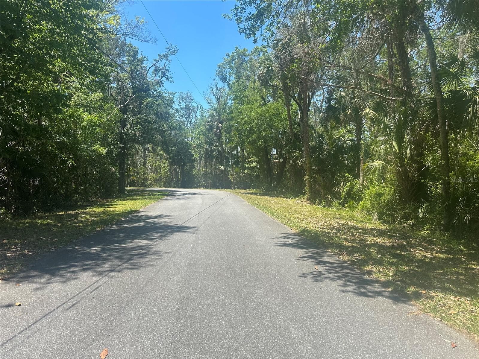 Land at 650 MILLER CREEK RD, CRYSTAL RIVER, photo 5 of 10