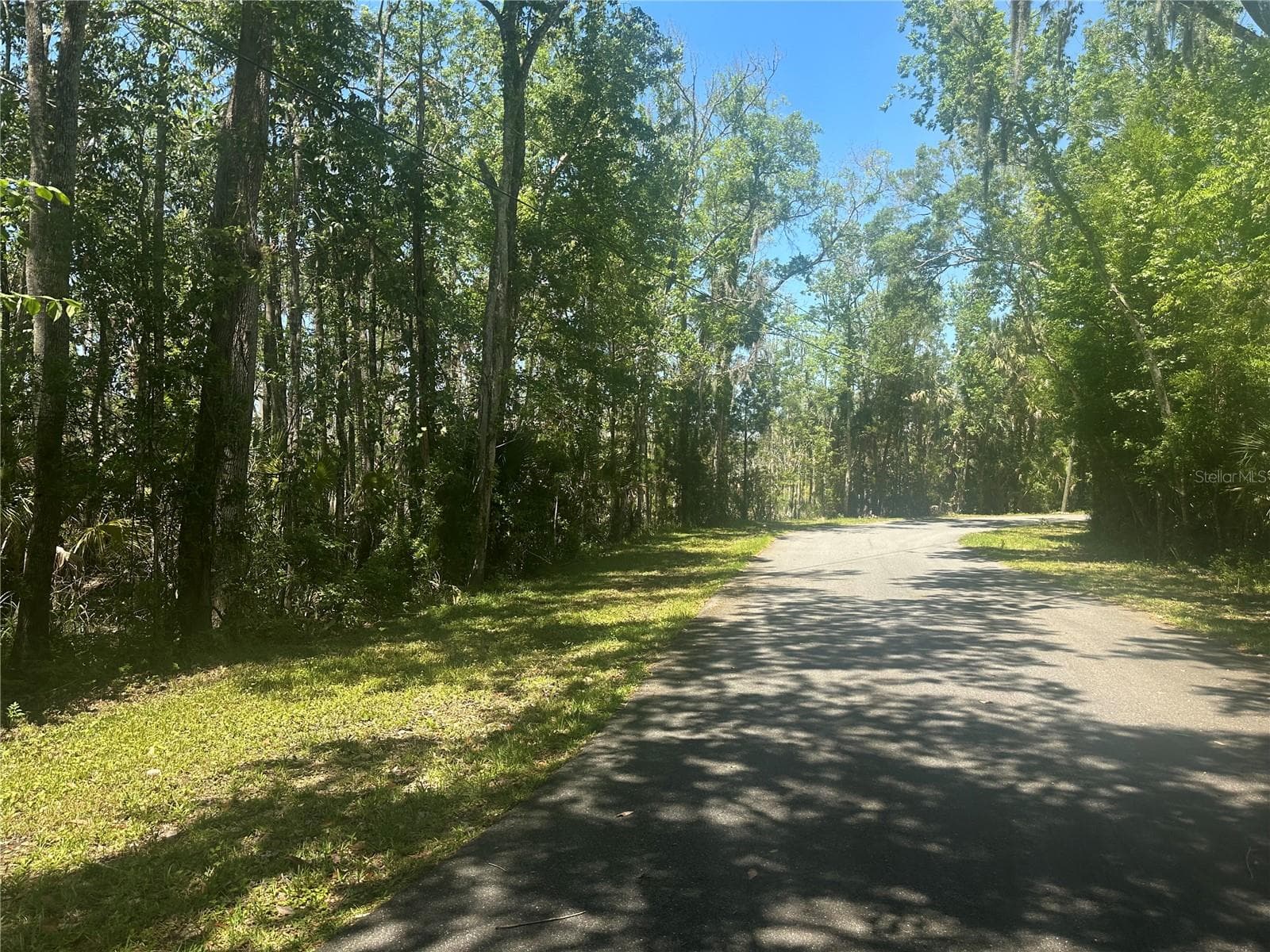 Land at 650 MILLER CREEK RD, CRYSTAL RIVER, photo 6 of 10