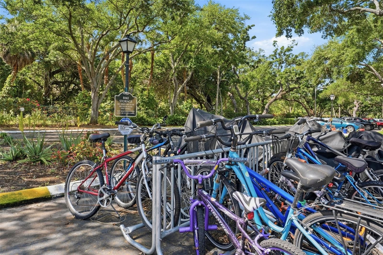 Bicycle Storage - 3001 58TH AVE S #1005, ST PETERSBURG