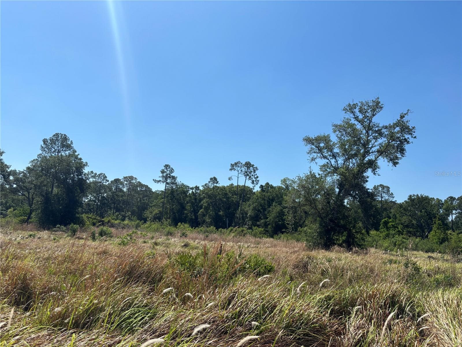 Land at ARDENWOOD, TAMPA, photo 7 of 10