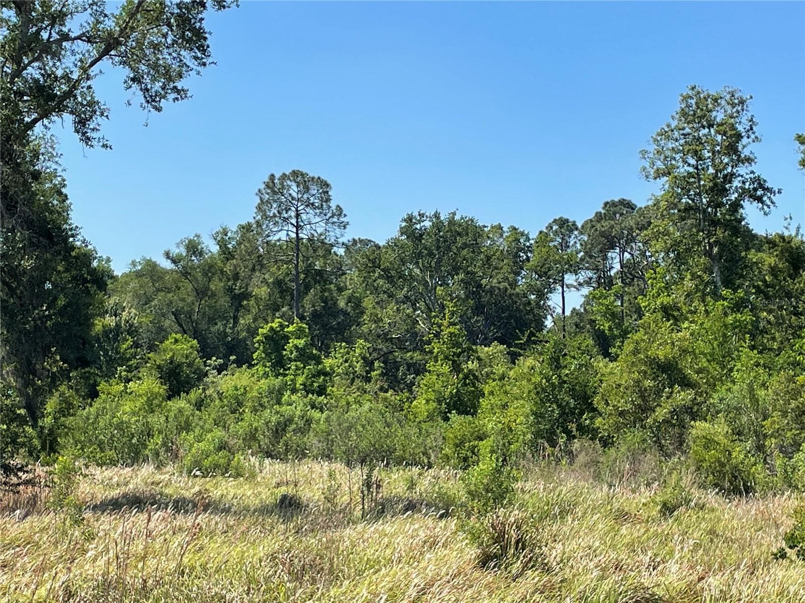 Land at ARDENWOOD, TAMPA, photo 8 of 10