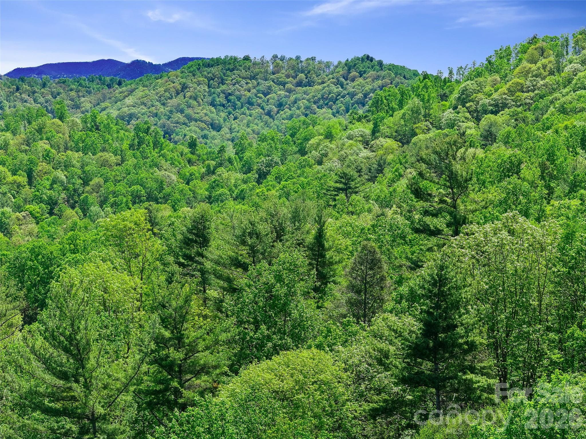 Single Family Residence at 615 Fred Sparks Road, Bakersville, photo 9 of 15