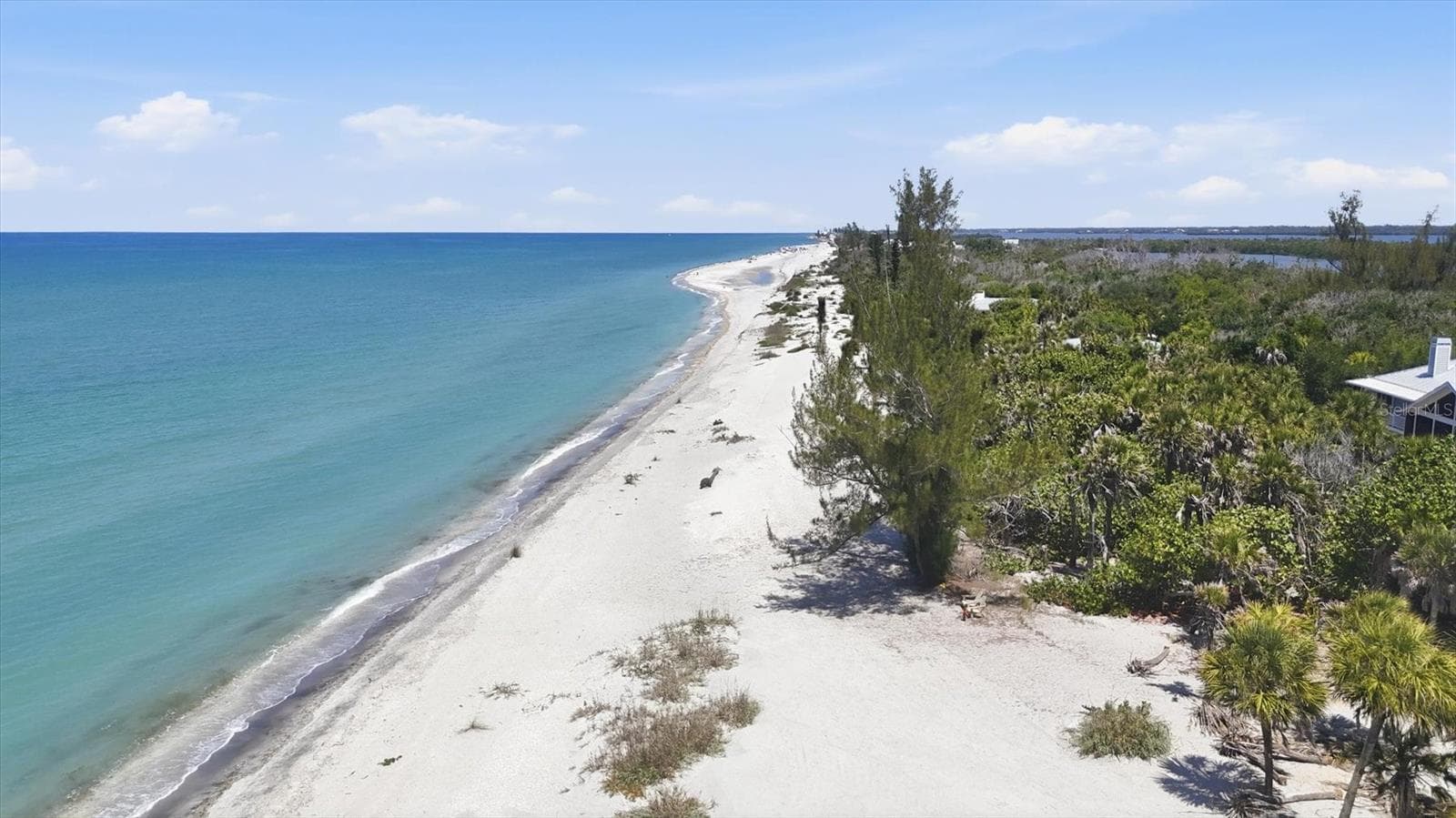 Beach View - 6421 MANASOTA KEY RD, ENGLEWOOD