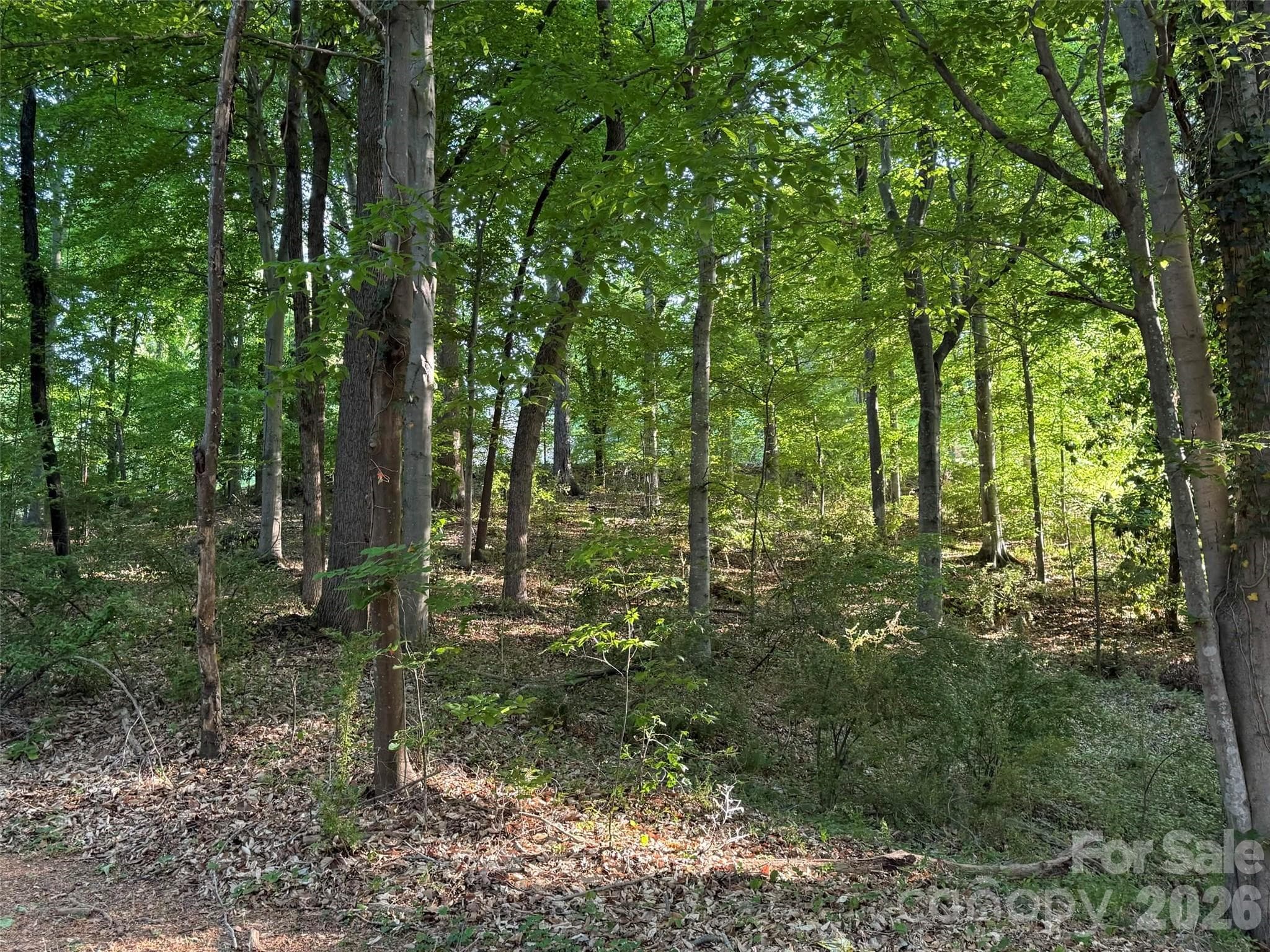 Lot at 300 Maymont Drive, Cramerton, photo 4 of 6