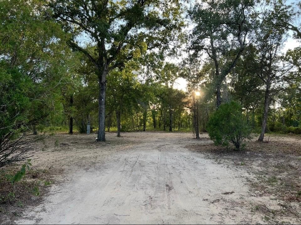 Land at 12055 FINCH RD, WEEKI WACHEE, photo 5 of 9
