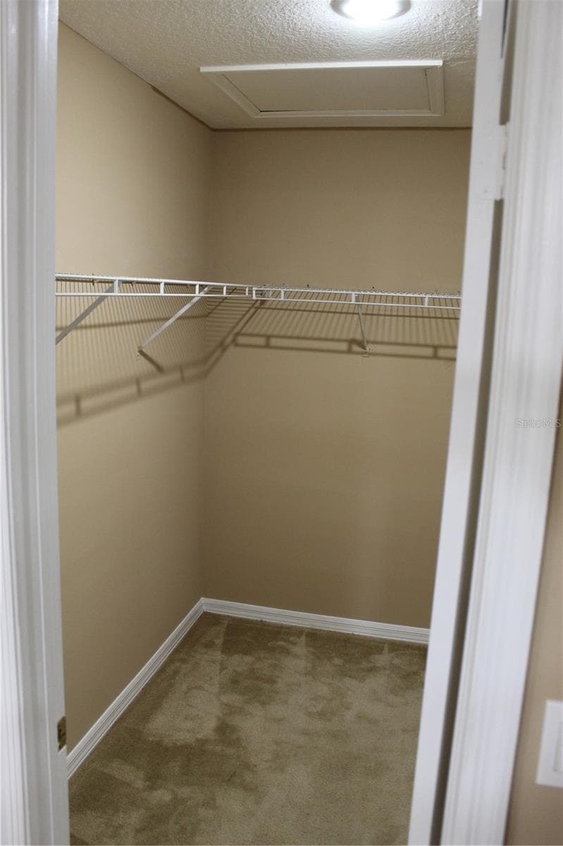 Single Family Residence at 11111 BRAMBLEBRUSH ST, TAMPA, photo 14 of 18