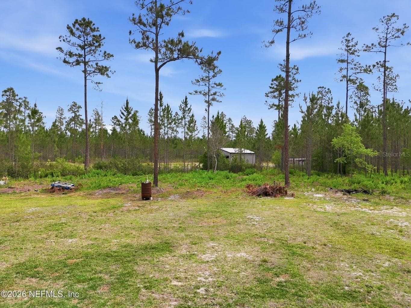 Backyard - 2626 WILL ELLEDGE RD, GLEN ST MARY