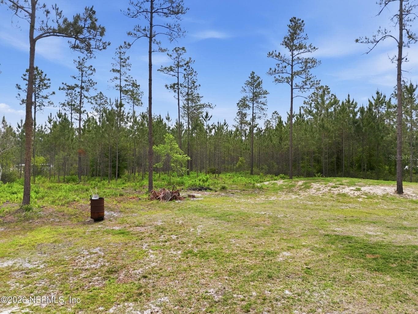 Backyard - 2626 WILL ELLEDGE RD, GLEN ST MARY