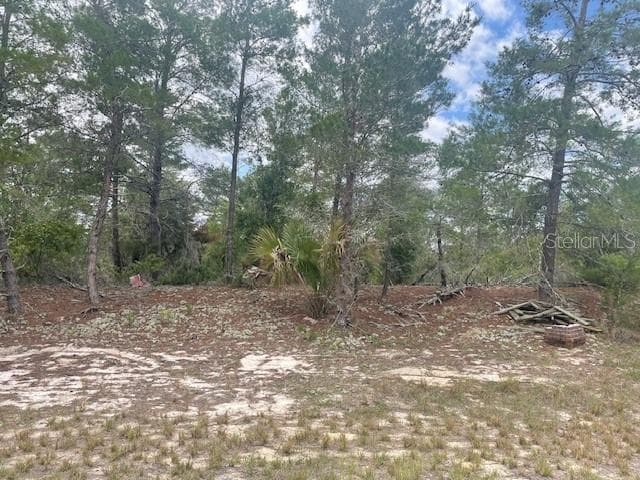 1342 HOMOSASSA DR