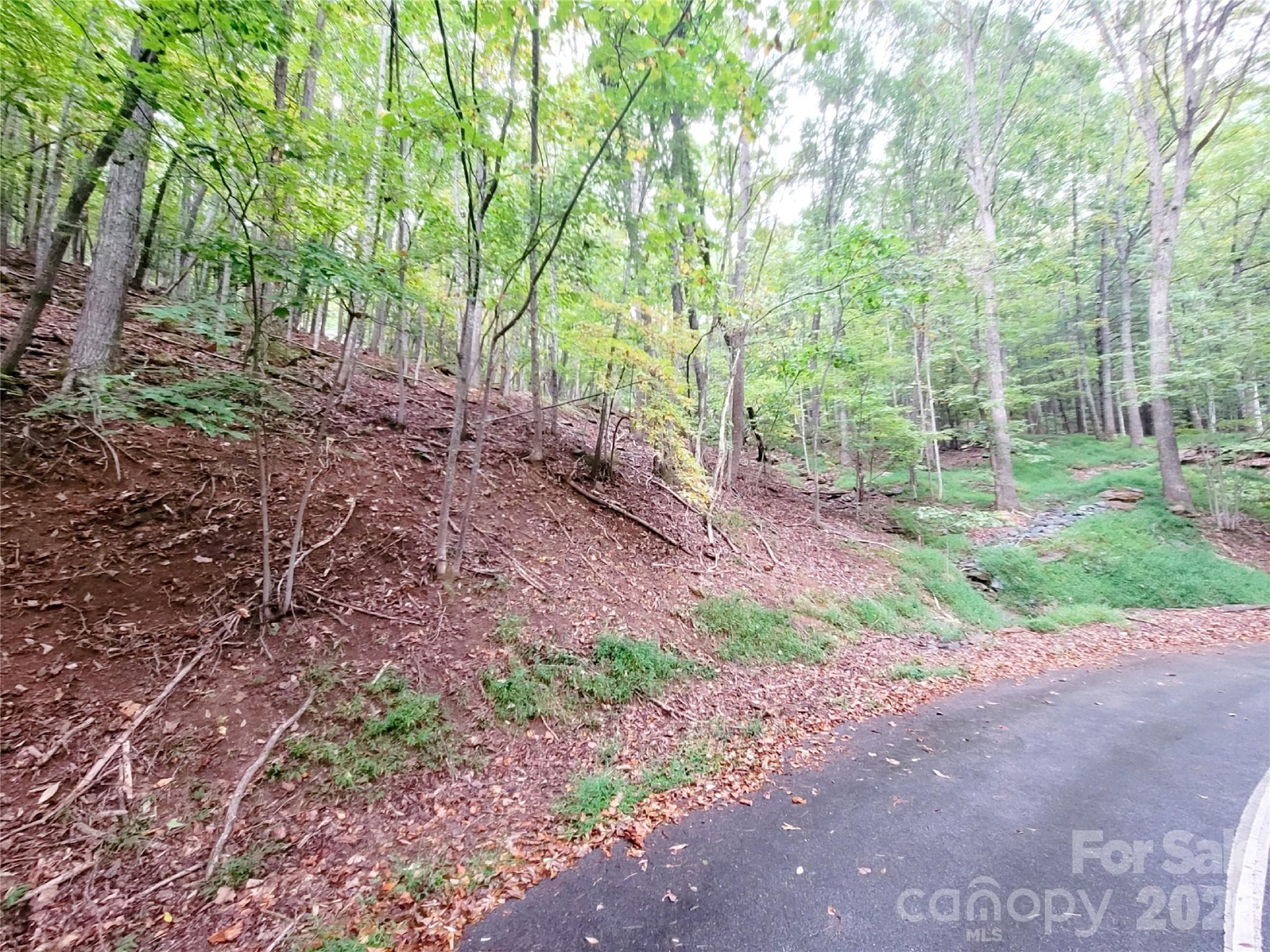 Lot at 47 Sourwood Drive, Mills River, photo 5 of 8