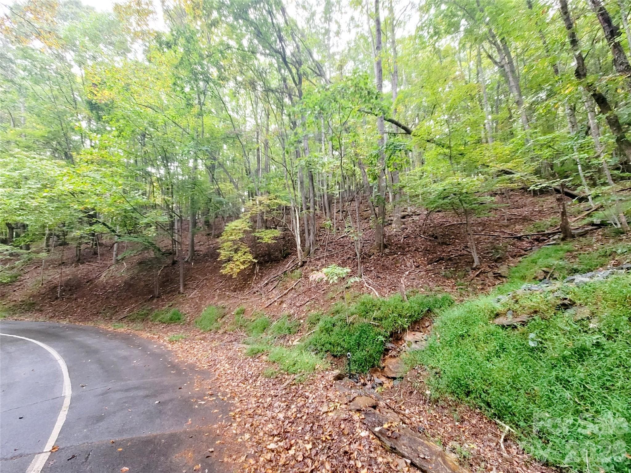 Lot at 47 Sourwood Drive, Mills River, photo 7 of 8