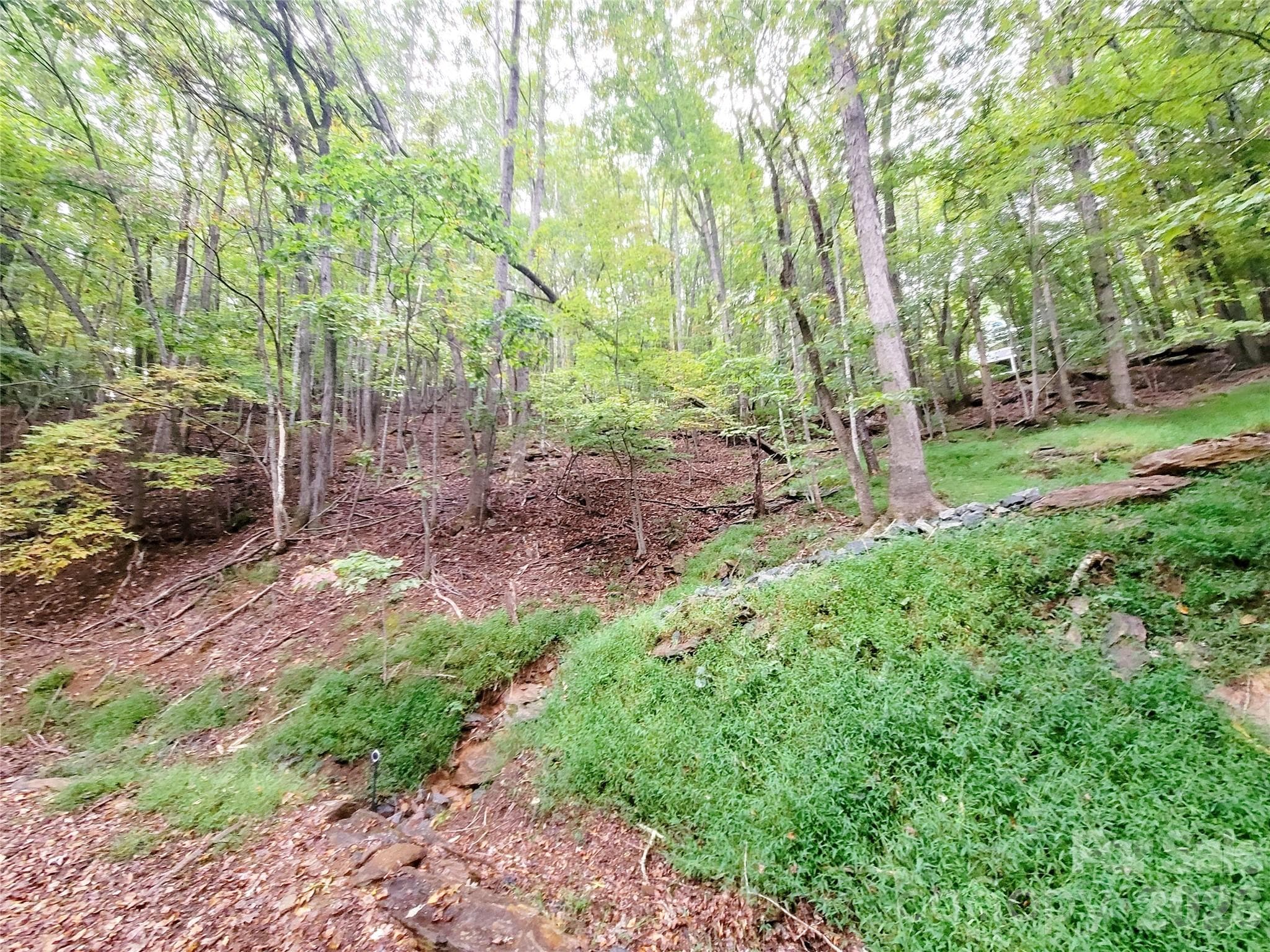 Lot at 47 Sourwood Drive, Mills River, photo 2 of 8