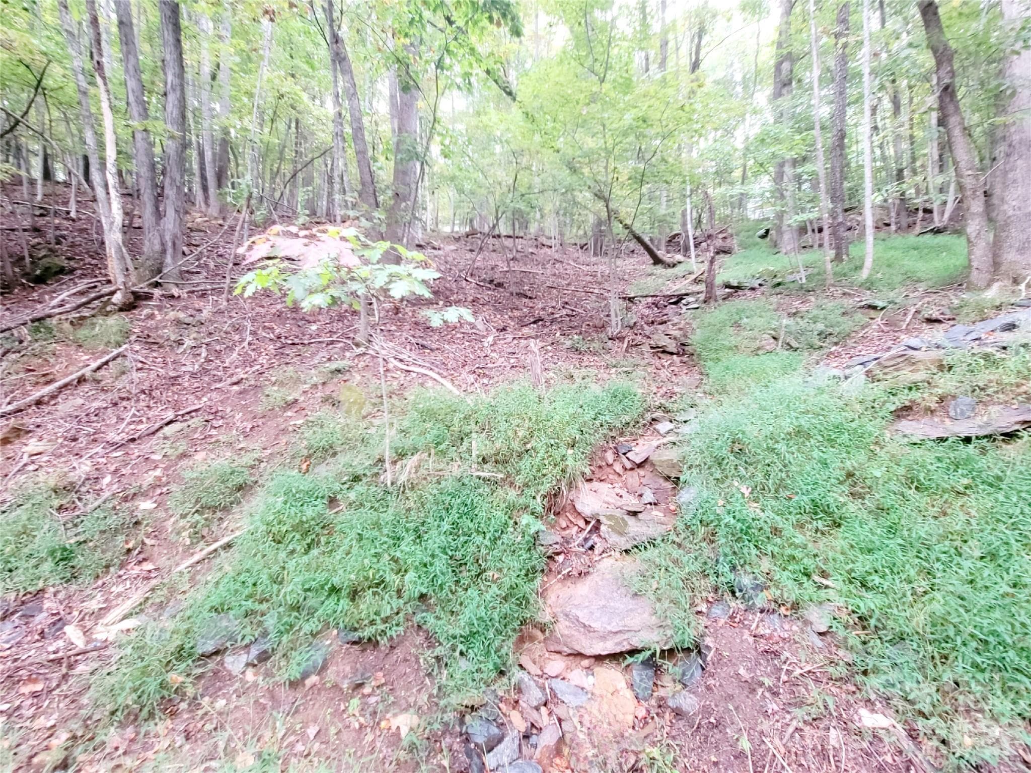 Lot at 47 Sourwood Drive, Mills River, photo 3 of 8