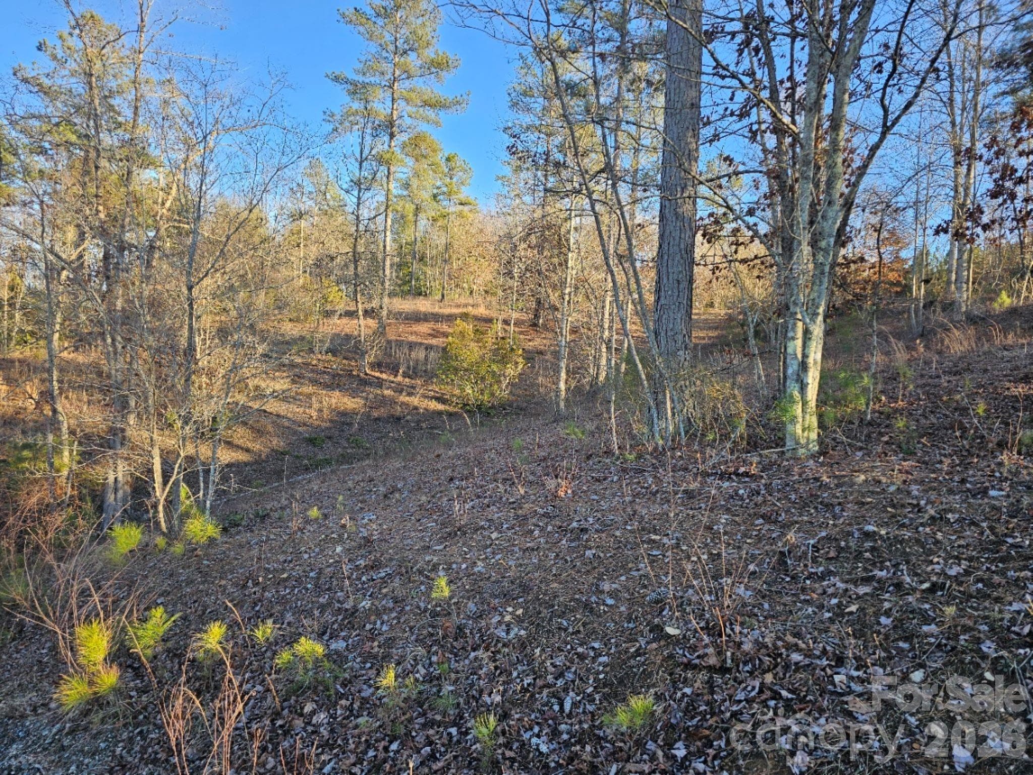 Lot at 2167 Inlet Shore Road NE, Connelly Springs, photo 3 of 15