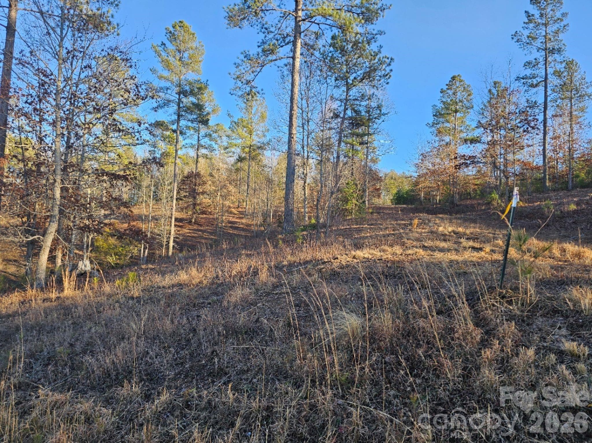 Lot at 2167 Inlet Shore Road NE, Connelly Springs, photo 11 of 15
