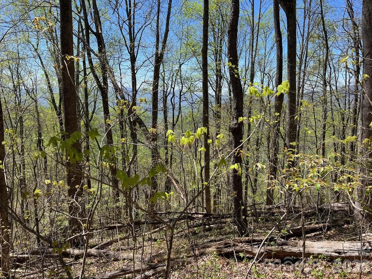 Acreage at Sylva, photo 2 of 9
