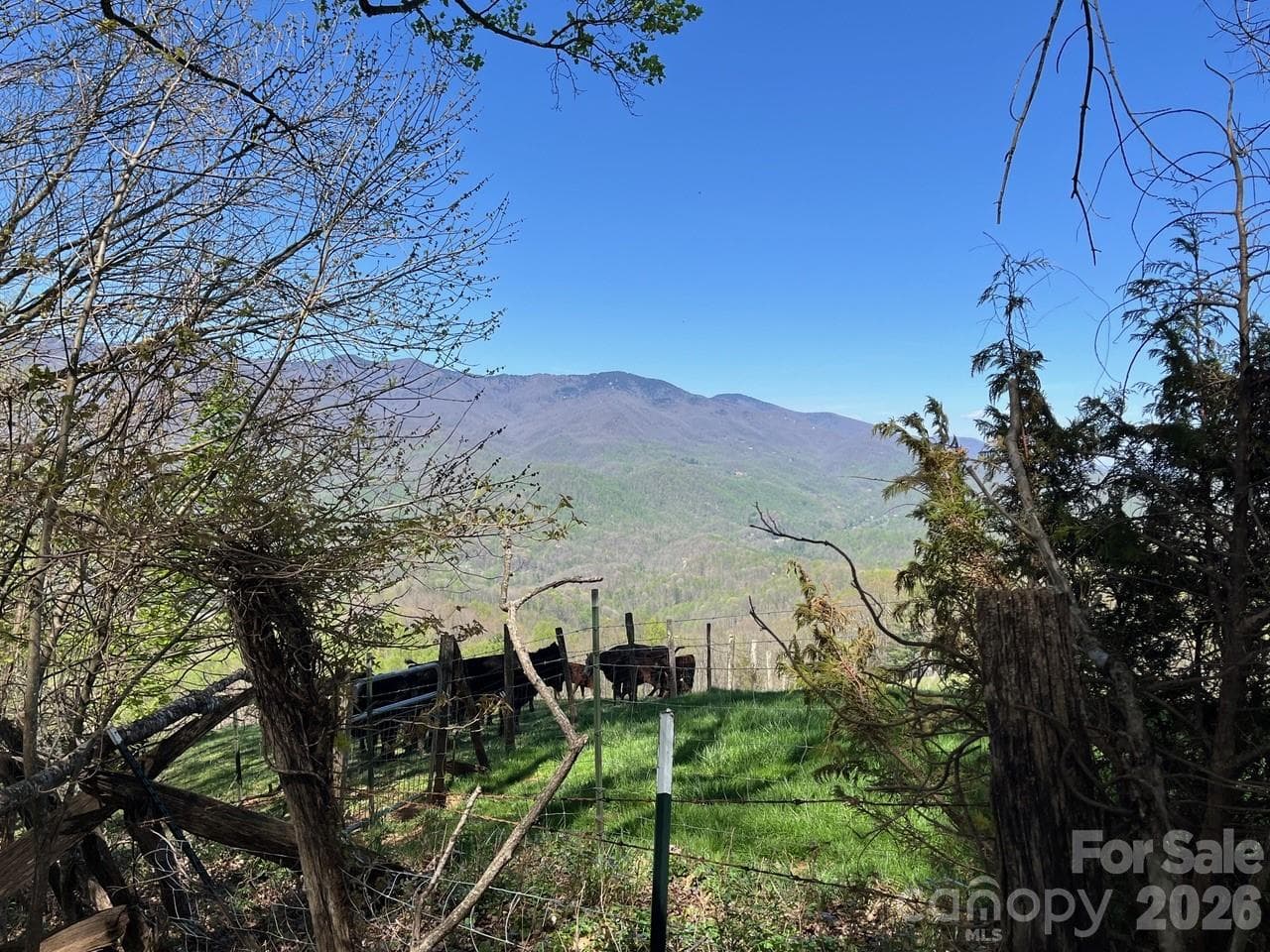 Acreage at Sylva, photo 3 of 9