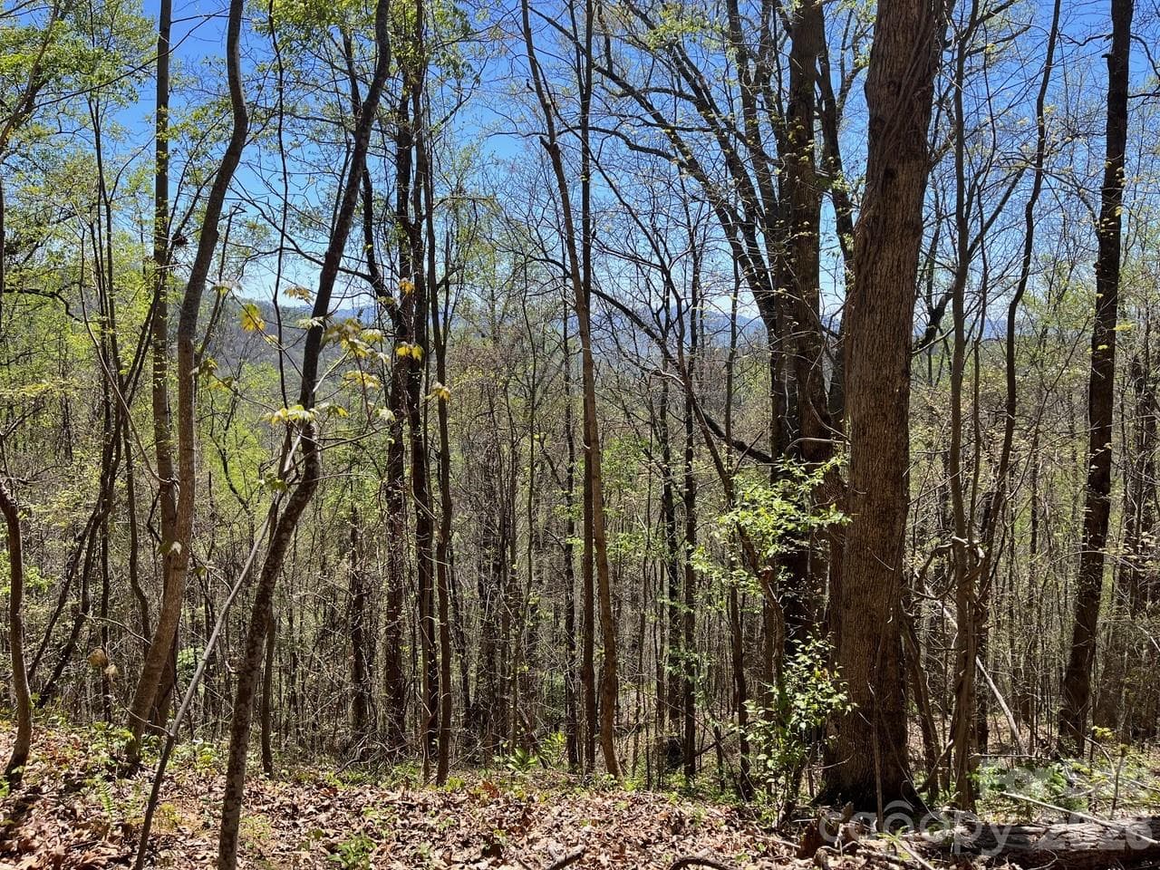 Acreage at Sylva, photo 4 of 9
