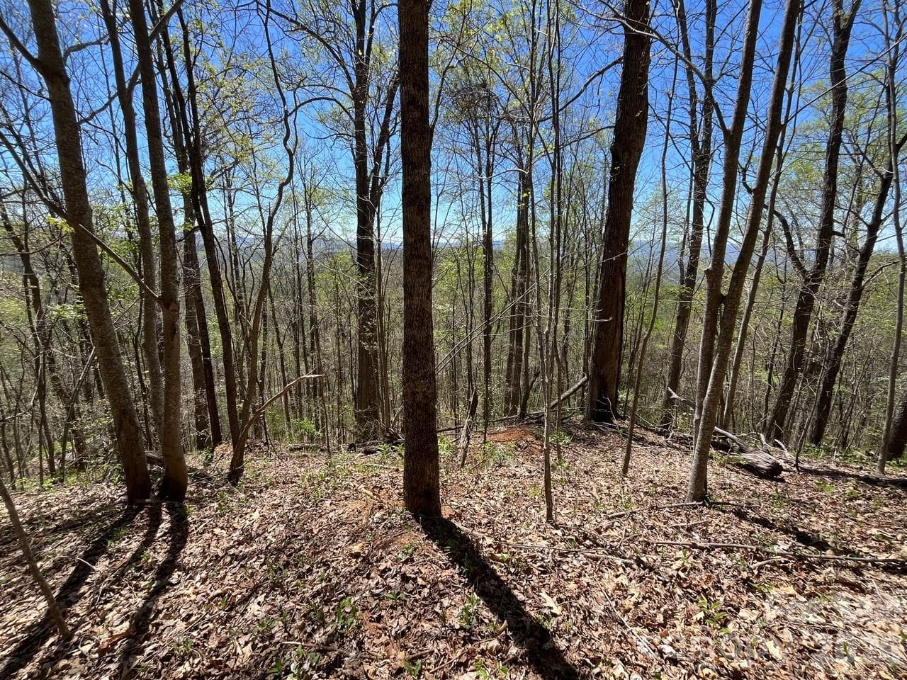 Acreage at 0 Crackin Chestnut Lane, Sylva, photo 6 of 9