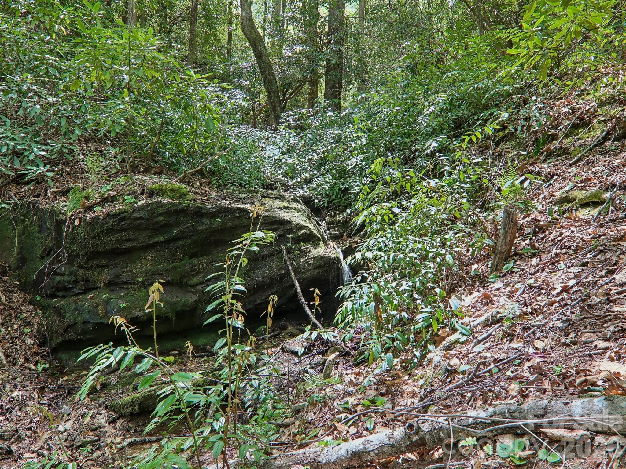 Single Family Residence at Pisgah Forest, photo 44 of 48