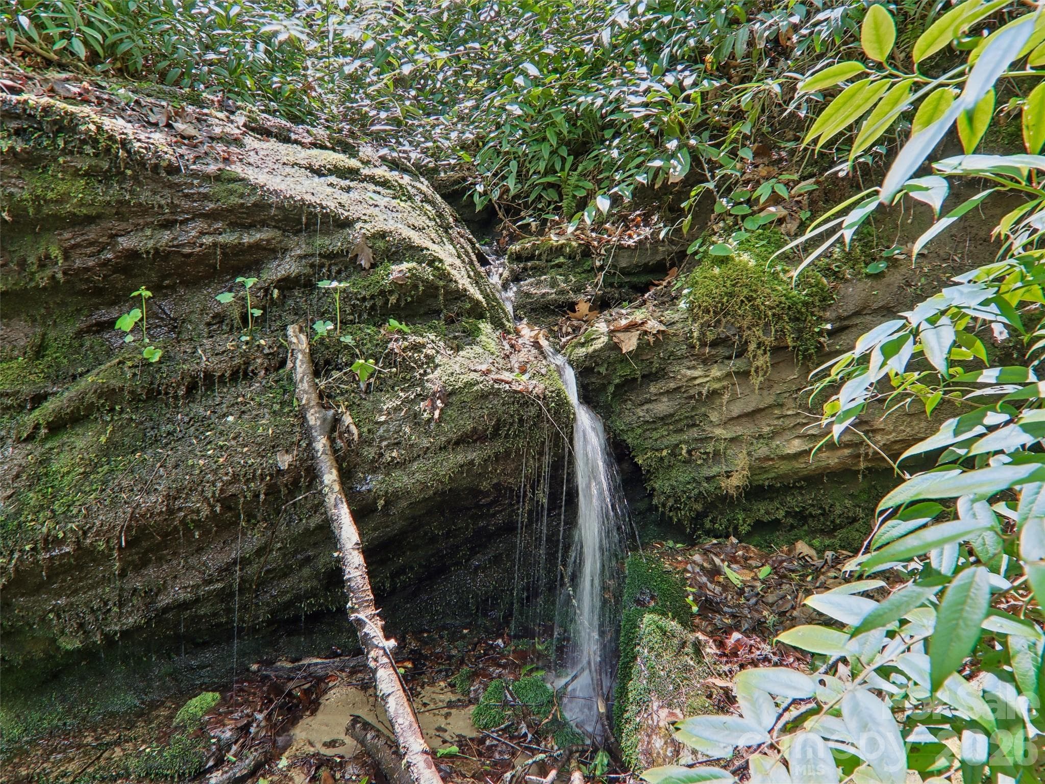Small Waterfall - Pisgah Forest