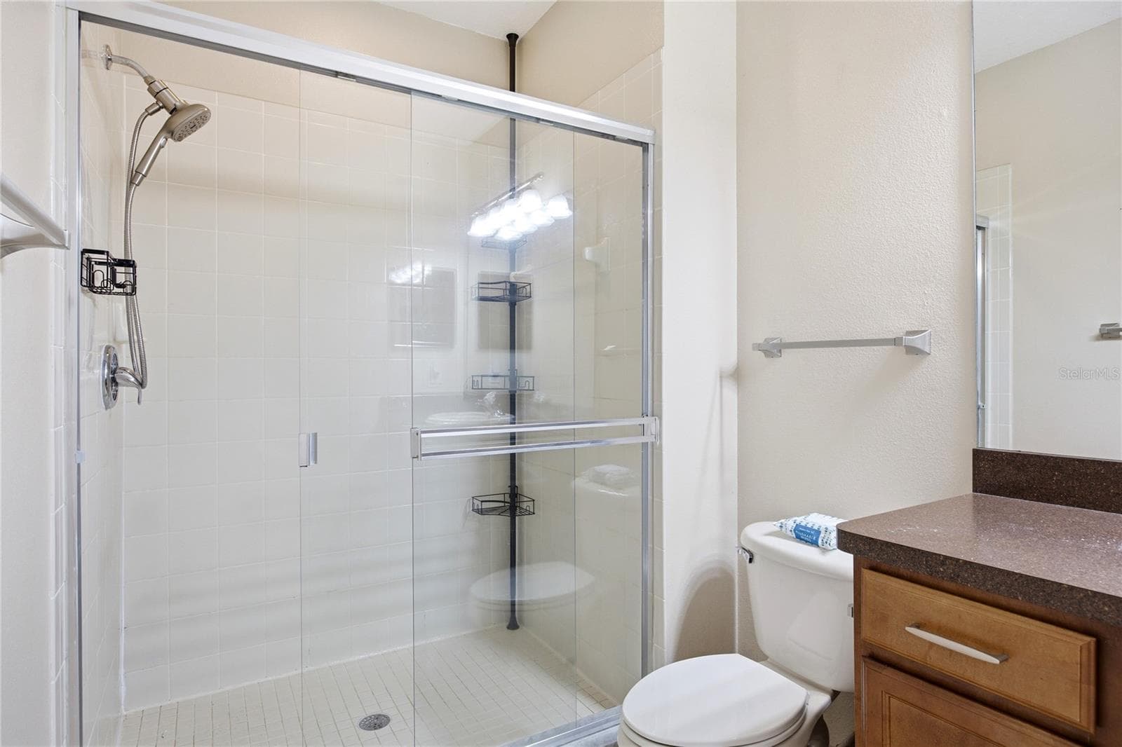 Townhouse at 1033 BLACKWATER DR, WESLEY CHAPEL, photo 23 of 55