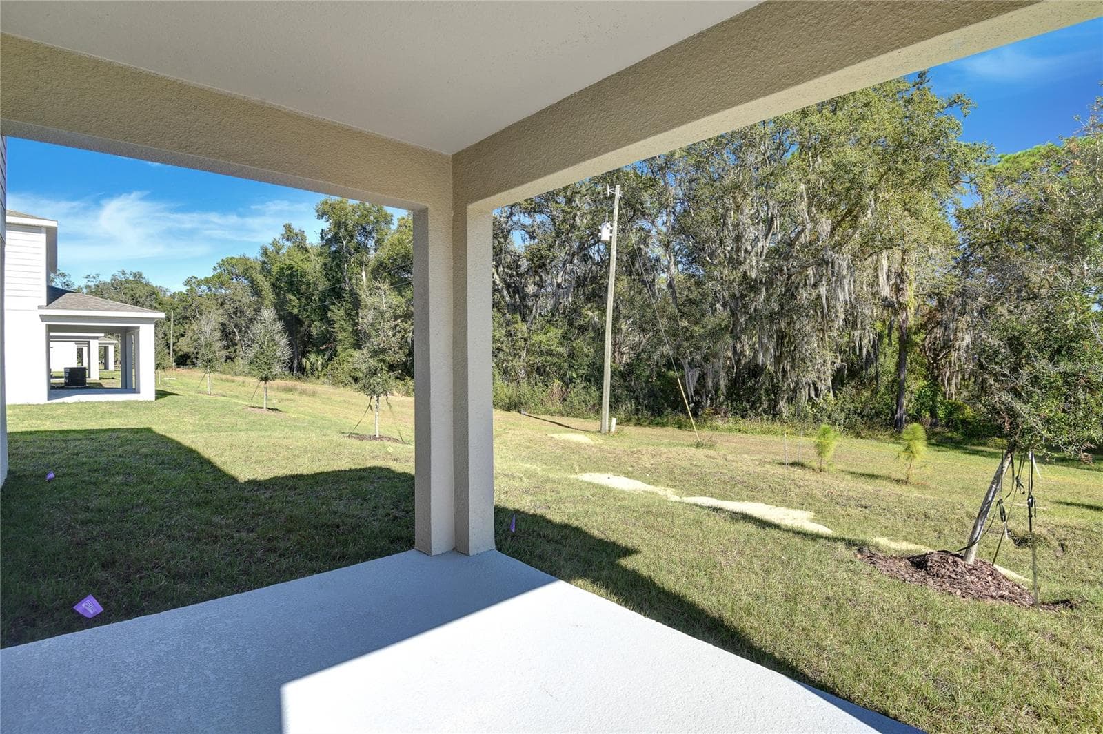 Single Family Residence at 1010 CLOUD RIDGE CT, MOUNT DORA, photo 18 of 19