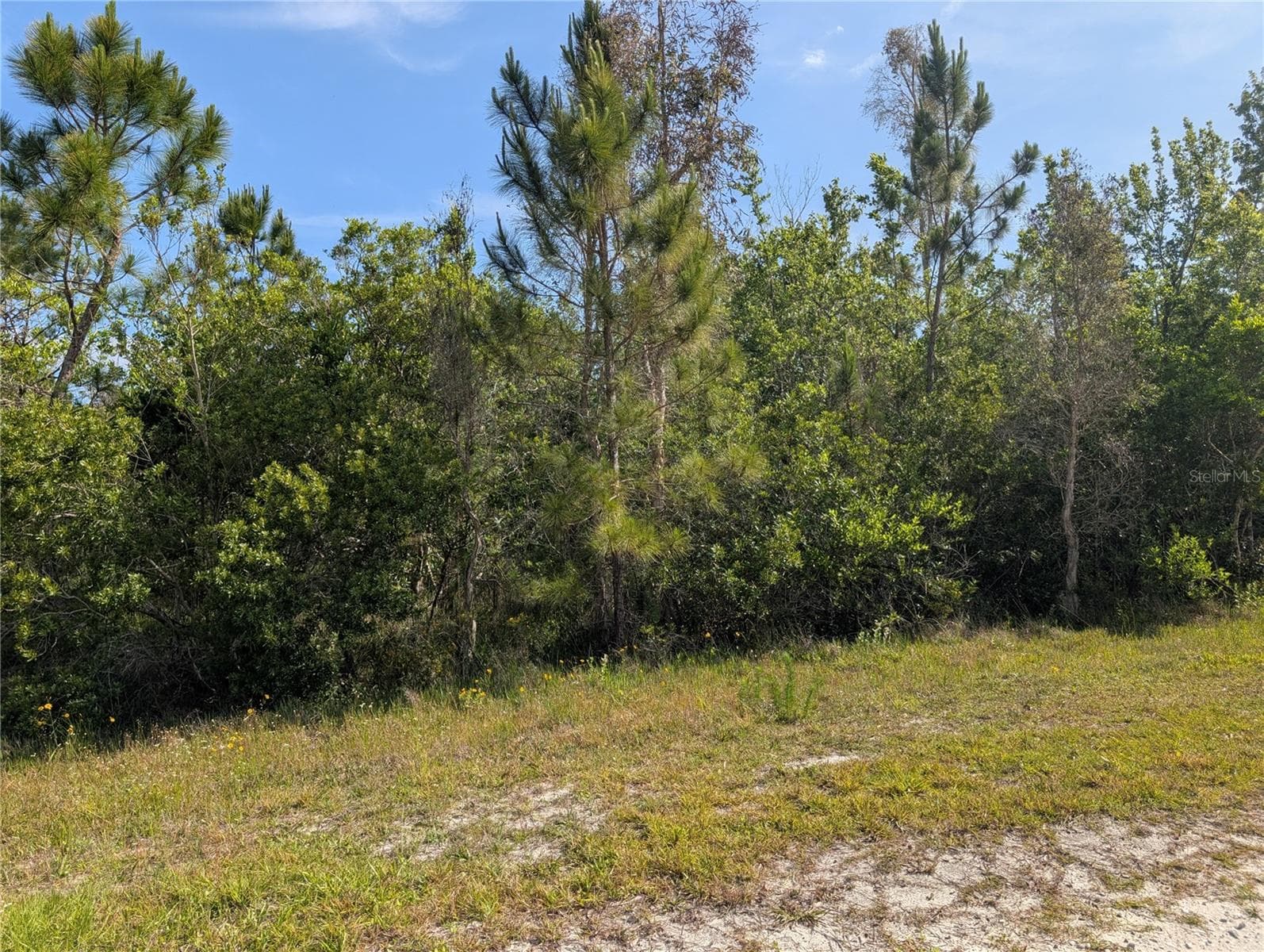 Land at 704 ORCHID DR, INDIAN LAKE ESTATES, photo 4 of 46